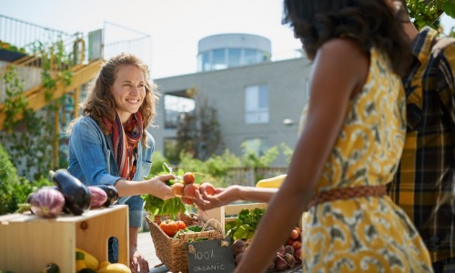 Bala Cynwyd vendor selling 100% organic produce to local resident.