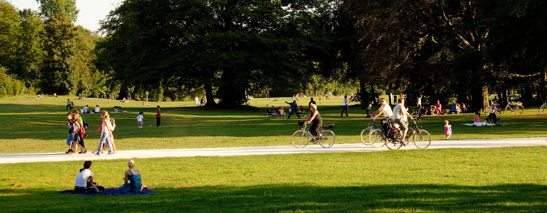 students in a park area